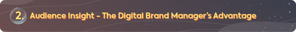 A section header for a digital branding guide, labeled with the number two, titled 'Audience Insight – The Digital Brand Manager’s Advantage.'